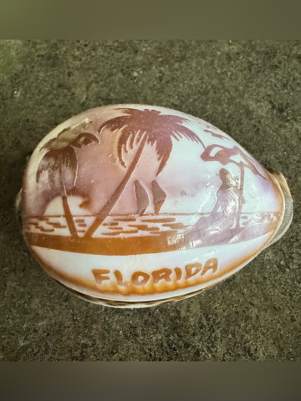 Large Etched Carved Florida Tiger Cowrie Seashell Souvenir Kitsch Beach 80’s